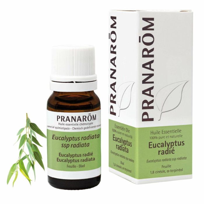Pranarôm Aceite Esencial Eucalipto Radiata 10 ml 1 Pranarôm Aceite Esencial Eucalipto Radiata 10 ml 1