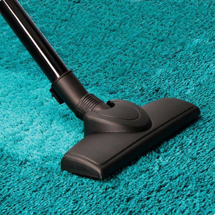 Edm Aspiradora sin Bolsa Multiciclónica Clase A 700W 2.5L 4