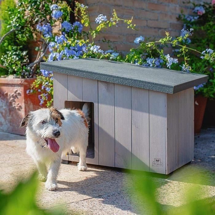 FERPLAST - ARGO 60 Caseta para perros en madera de pino nórdico L 57,5 x A 39 x A 46 cm 1