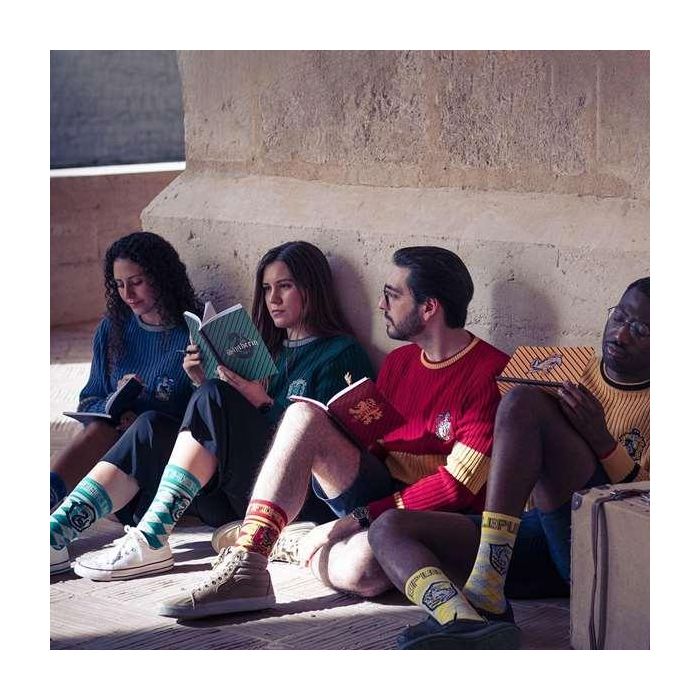 Cerdá Set de Papelería Harry Potter Gryffindor 22.0 x 22.0 x 2.5 cm