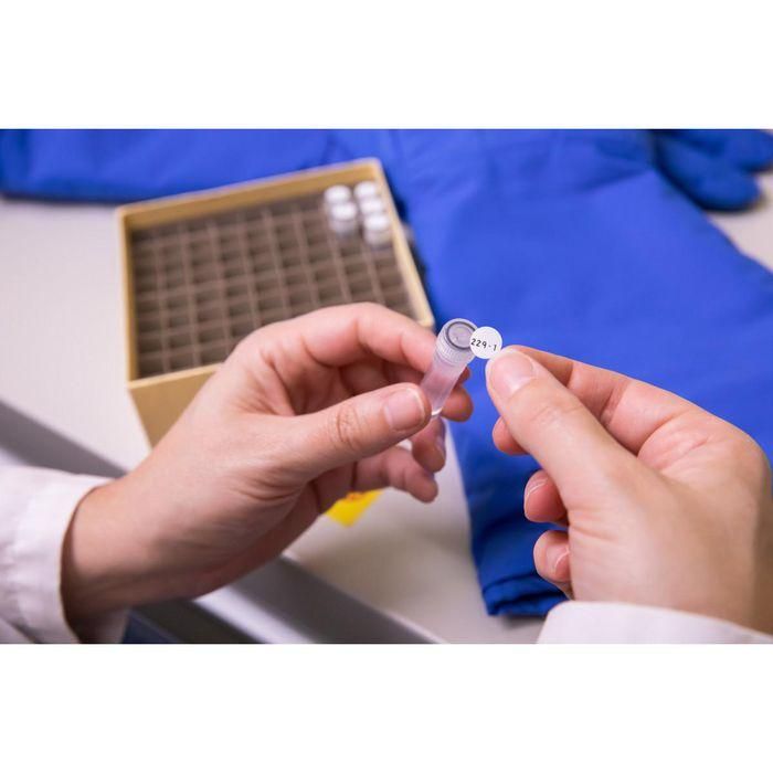 Brady Ultra Thin Polyester, 9.54mm diameter, White, 240pcs 1