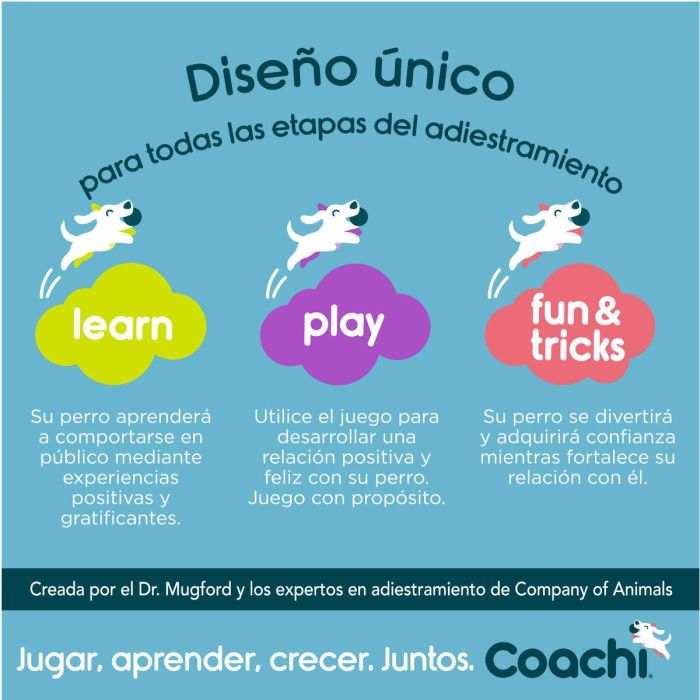 Juguete de adiestramiento Coachi Azul 6