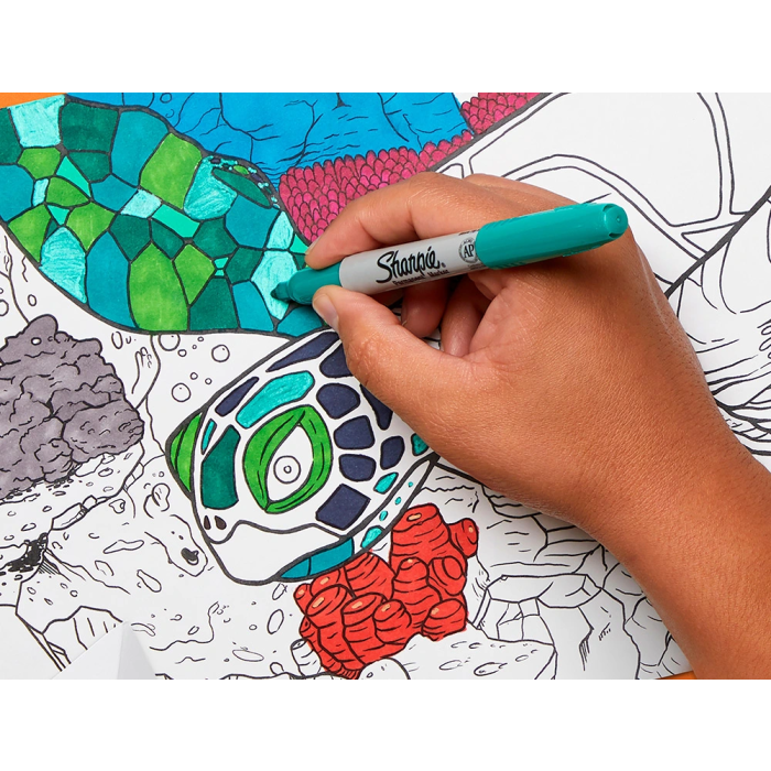 Sharpie Rotulador Permanente Fino Blister 12 Unidades Colores Surtidos 3