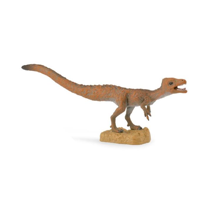 Collecta 88811 Sciurumimus - Réplica Fósil Joven de Ardilla Imitadora - Juguete Educativo +3 Años Collecta 88811 Sciurumimus - Réplica Fósil Joven de Ardilla Imitadora - Juguete Educativo +3 Años