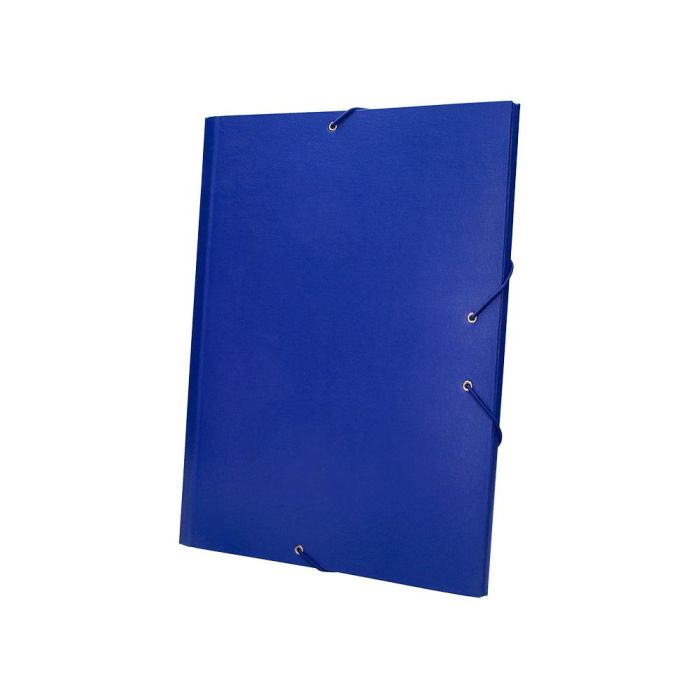 Carpeta Clasificadora Liderpapel 12 Departamentos Folio Prolongado Carton Forrado Azul 4