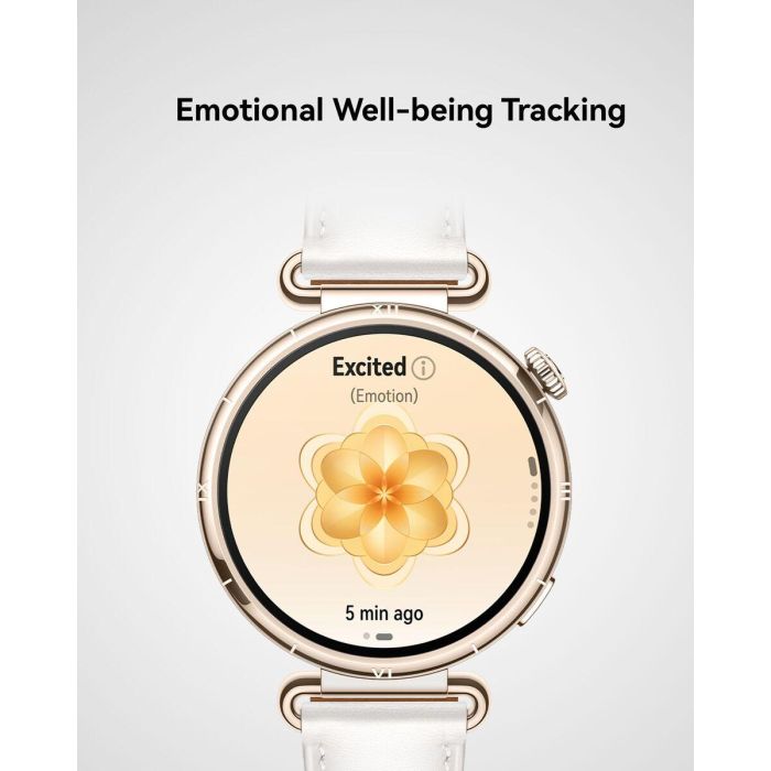 Smartwatch Huawei Konsu-B19L Blanco 1,32"