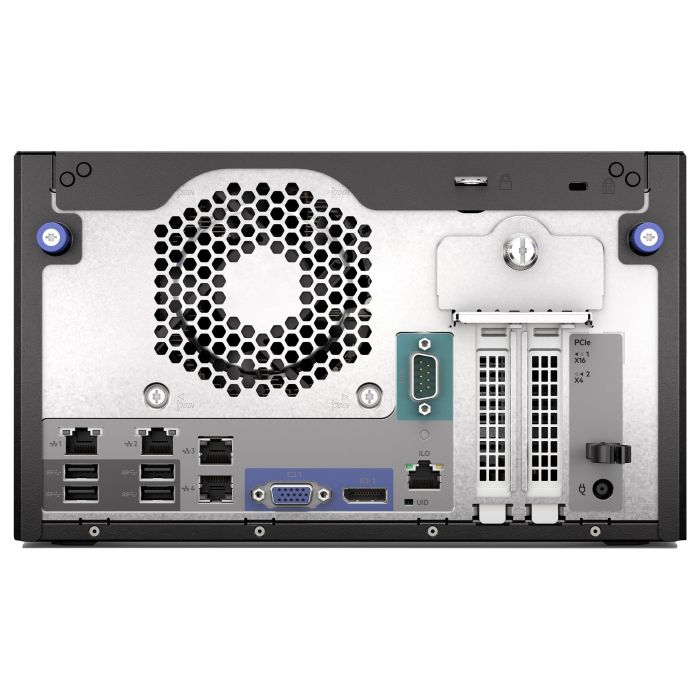 HPE ProLiant MicroServer Gen11 Servidor Intel Gold G7400 2 Núcleos P74439-425 4