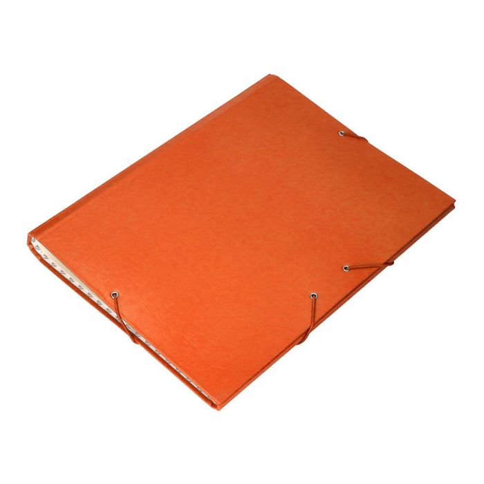 Carpeta Clasificadora Liderpapel 12 Departamentos Folio Prolongado Carton Forrado Naranja 7