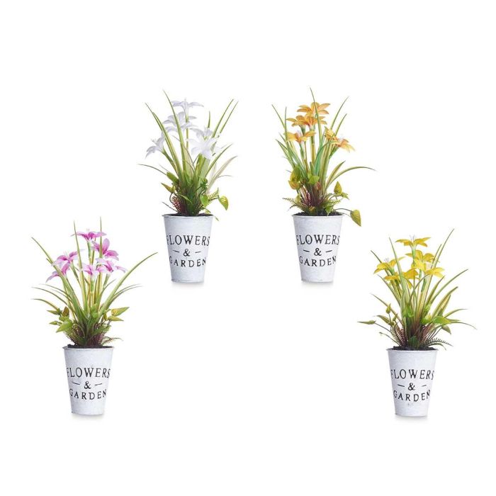 Planta Flor Abierta Pequeña en Bote Metal Ibergarden 15x36x15 cm - Surtidos Colores (12 Unidades) 1 Planta Flor Abierta Pequeña en Bote Metal Ibergarden 15x36x15 cm - Surtidos Colores (12 Unidades) 1