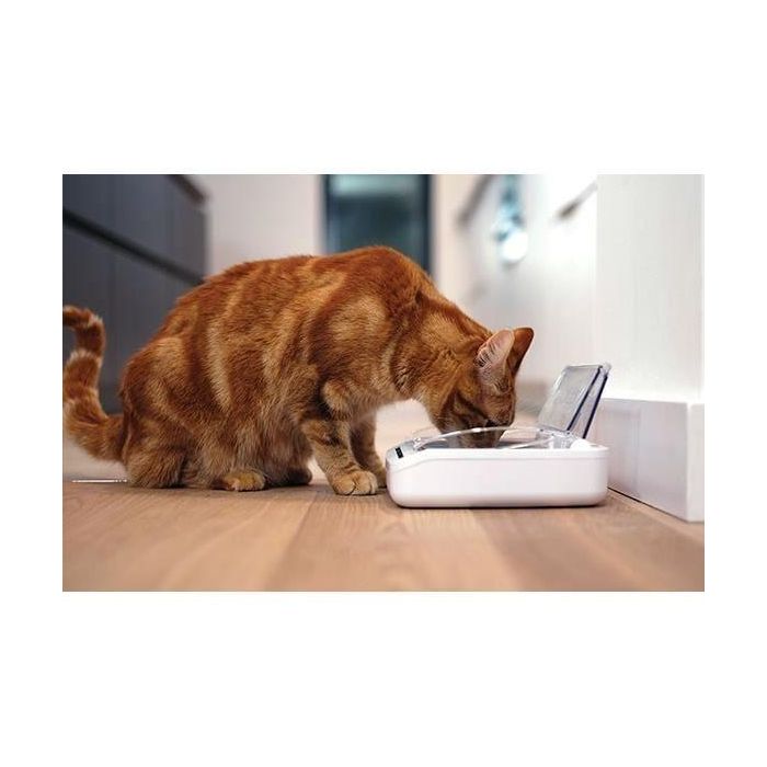 SUREFLAP Dispensador automático de alimentos - recipiente hermético SureFeed - para gatos y perros pequeños 2 SUREFLAP Dispensador automático de alimentos - recipiente hermético SureFeed - para gatos y perros pequeños 2
