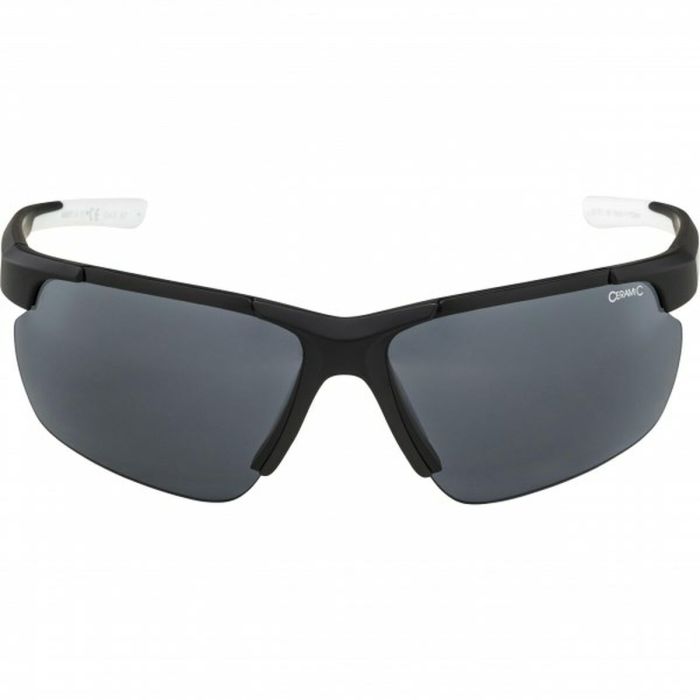 Gafas de Sol Hombre Alpina DEFEY HR 3