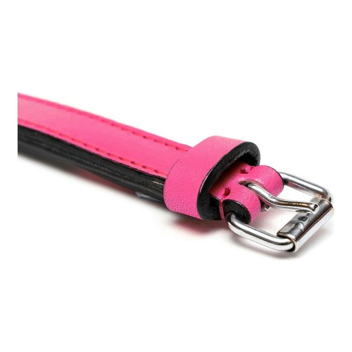 Collar para Perro Gloria Acolchado Fucsia (50 x 2,5 cm) 2 Collar para Perro Gloria Acolchado Fucsia (50 x 2,5 cm) 2