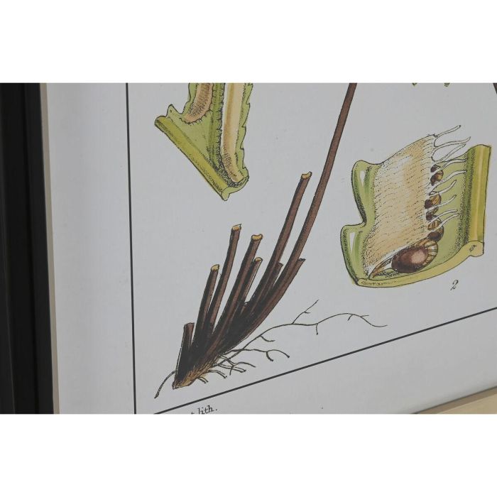 DKD Home Decor Cuadro Moderno de Pared con Diseño Helecho, Negro y Dorado, Madera Abeto y Cristal, 65x50 cm, Pack de 6 Unidades 2 DKD Home Decor Cuadro Moderno de Pared con Diseño Helecho, Negro y Dorado, Madera Abeto y Cristal, 65x50 cm, Pack de 6 Unidades 2