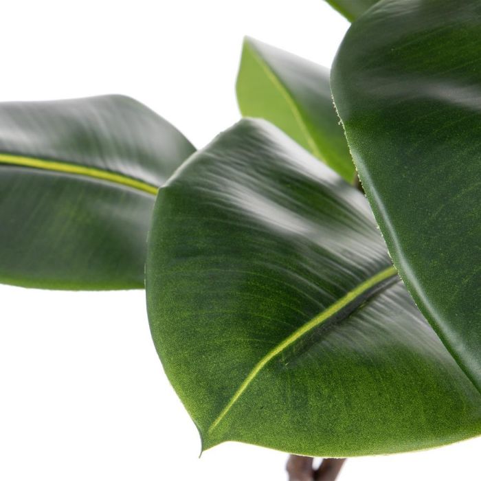 Rama Caucho Verde Artificial Decoración 55 X 50 X 130 cm