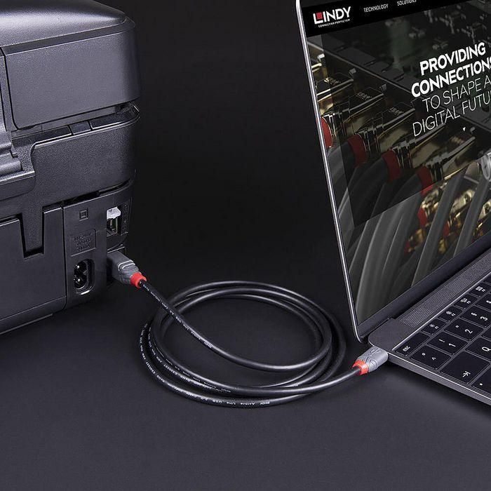 Lindy Cable USB 3.2 Gen 1 1m Tipo C a Tipo B Anthra Line Profesional 5Gbps Contactos Oro Reversible 3