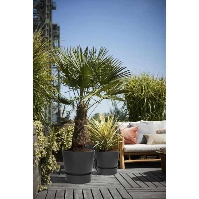 Elho Maceta redonda Greenville 25, Exterior, Ø 24.48 x H 23.31 cm, Negro Living, Plástico 100% Reciclado, con Depósito de Agua 5 Elho Maceta redonda Greenville 25, Exterior, Ø 24.48 x H 23.31 cm, Negro Living, Plástico 100% Reciclado, con Depósito de Agua 5