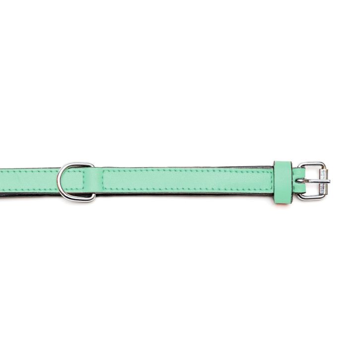 Collar Piel Acolchado 50 cm X 25 mm Verde 6 Collar Piel Acolchado 50 cm X 25 mm Verde 6