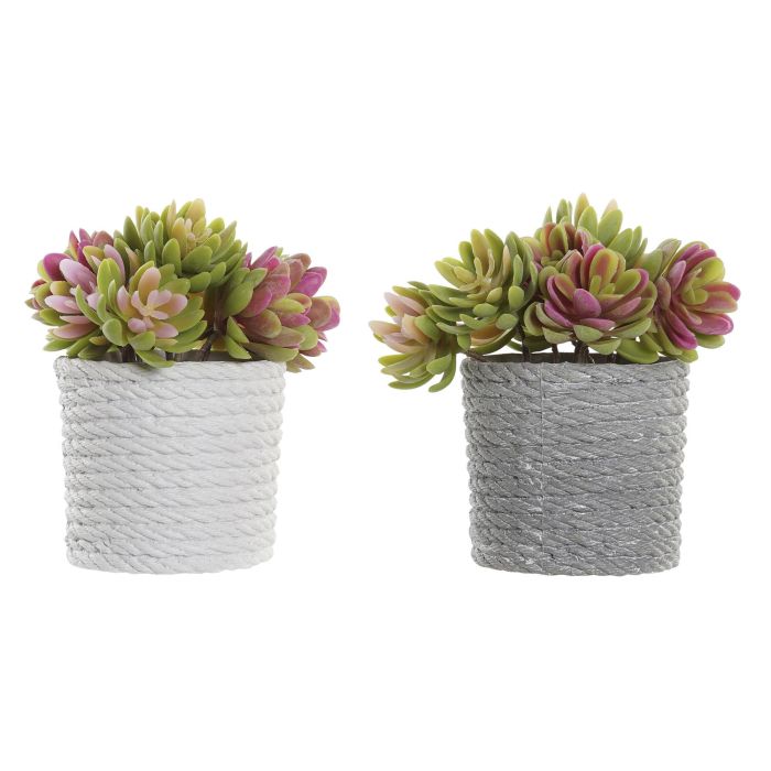 DKD Home Decor Planta Artificial Decorativa, Pack de 4 Unidades, Colores Beige y Gris, 14.5x14.5x16 cm, Material PE y EVA DKD Home Decor Planta Artificial Decorativa, Pack de 4 Unidades, Colores Beige y Gris, 14.5x14.5x16 cm, Material PE y EVA