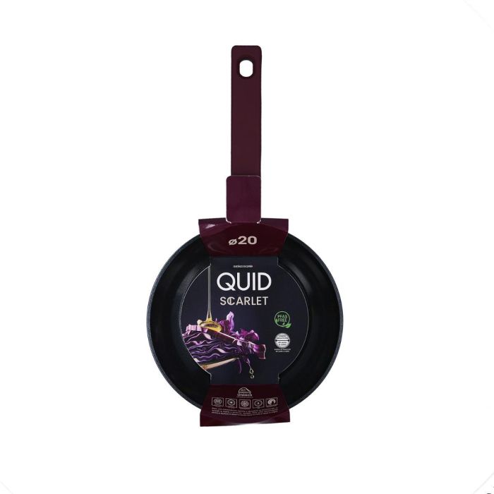 Sartén Aluminio Forjado Scarlet Quid 20 cm 2