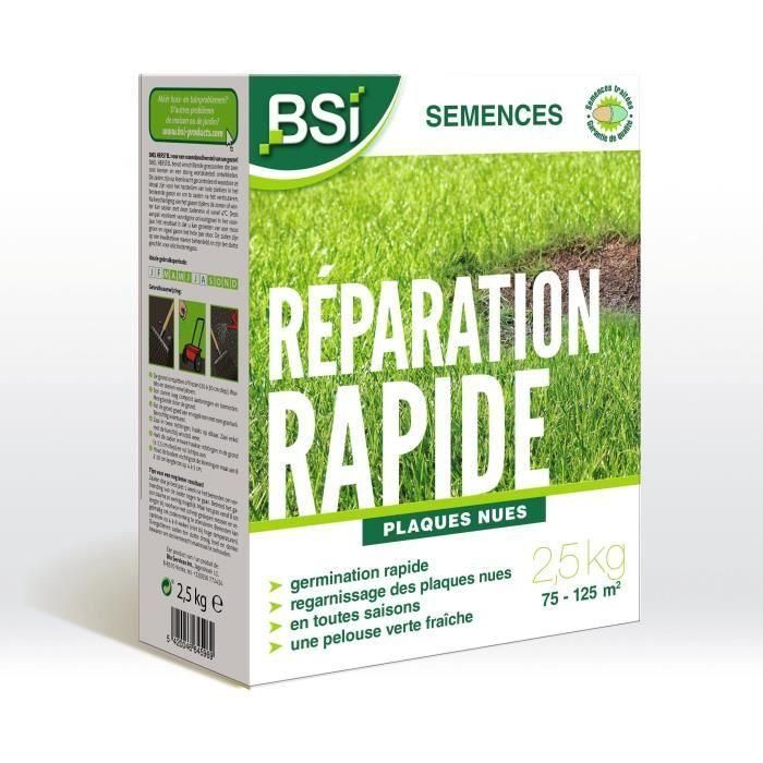 BSI - Semillas de Hierba - Reparación Rápida - Con Recubrimiento Protector - Alta calidad - hasta 125m² - 2,5Kg BSI - Semillas de Hierba - Reparación Rápida - Con Recubrimiento Protector - Alta calidad - hasta 125m² - 2,5Kg