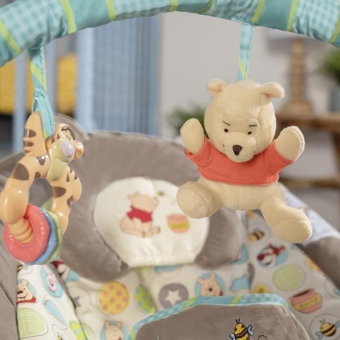 DISNEY BABY Winnie The Pooh Transat 3