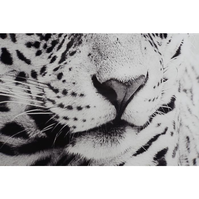 DKD Home Decor Cuadro Leopardo Negro Blanco Cristal Aluminio 100 x 100 cm (2 Unidades) 3