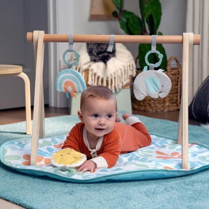 Ingenuity ITY0074451131224 Alfombra de juego Sun Valley con arco de madera y 3 juguetes extraíbles, plegable, desde el nacimiento 1 Ingenuity ITY0074451131224 Alfombra de juego Sun Valley con arco de madera y 3 juguetes extraíbles, plegable, desde el nacimiento 1