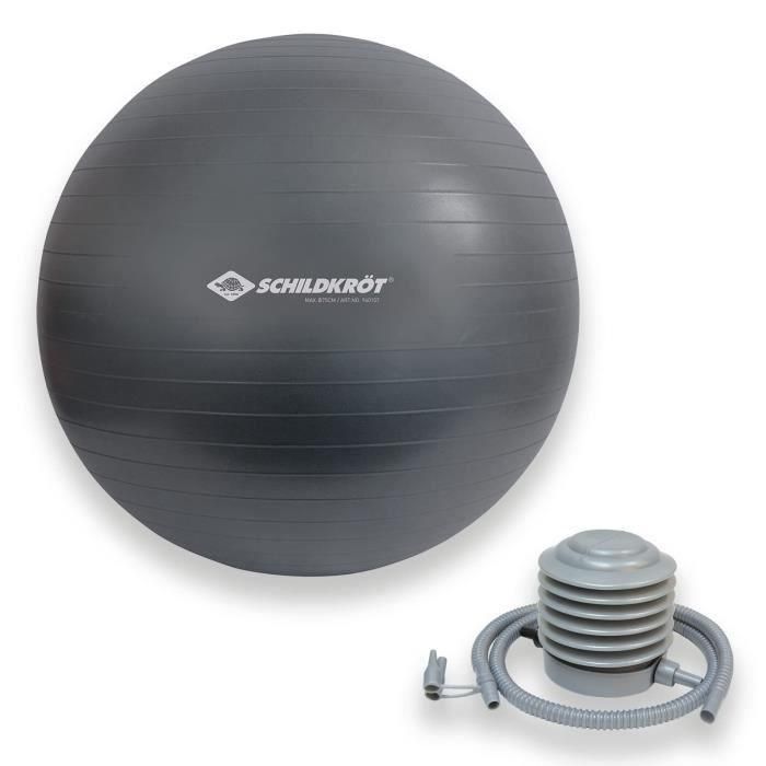 Schildkrot Fitness Accesorio de fitness Schildkrot Pelota de ejercicio 75 cm - 4000885601572 1 Schildkrot Fitness Accesorio de fitness Schildkrot Pelota de ejercicio 75 cm - 4000885601572 1