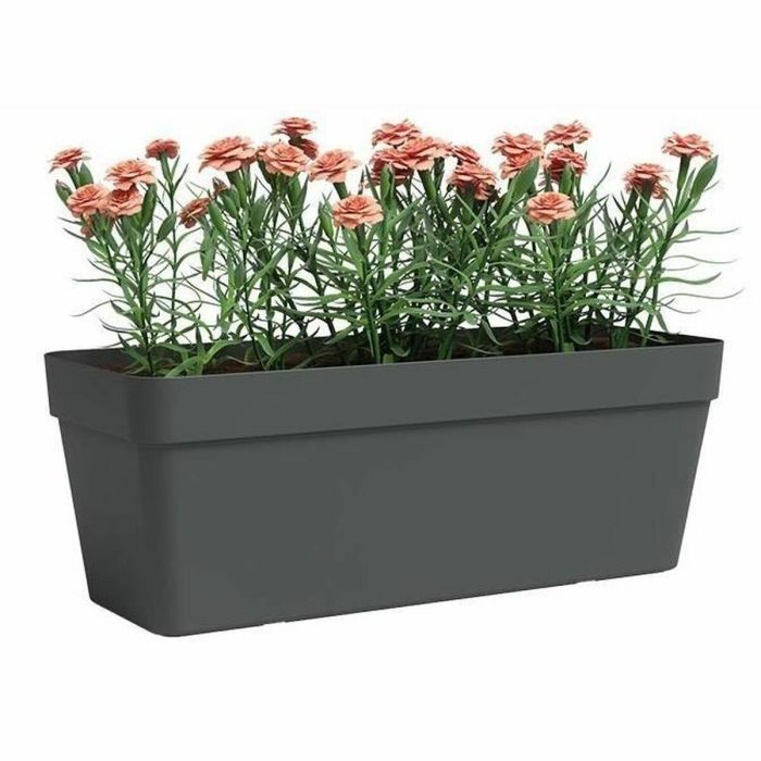 Artevasi 5600442837360 Jardinera Plástico Rectangular Antracita L49,9xP20xH18,1cm 1 Artevasi 5600442837360 Jardinera Plástico Rectangular Antracita L49,9xP20xH18,1cm 1