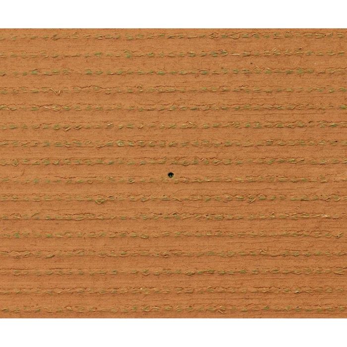 Exelgreen EXE3664881124377 Césped sintético CAMPUS 2D 1x5m Espesor 25mm 1 Exelgreen EXE3664881124377 Césped sintético CAMPUS 2D 1x5m Espesor 25mm 1