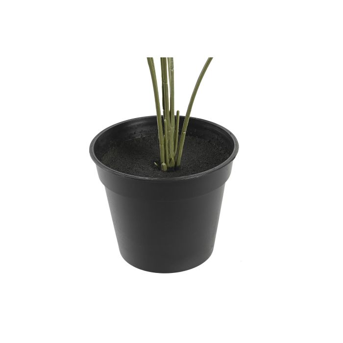 DKD Home Decor Little Monstera Planta Verde 40 x 30 x 50 cm (2 Unidades) 2