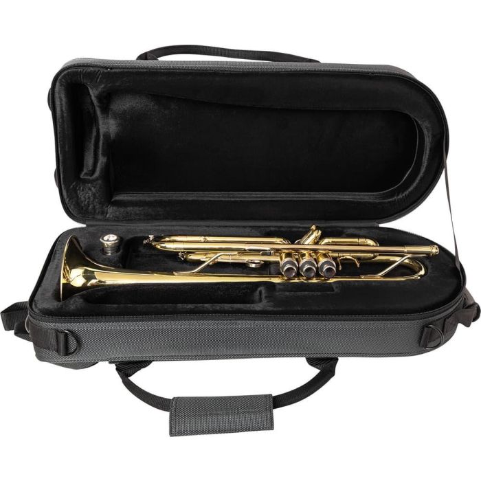 Softcase Gator Trompeta Sib - Formato Instrumento 2