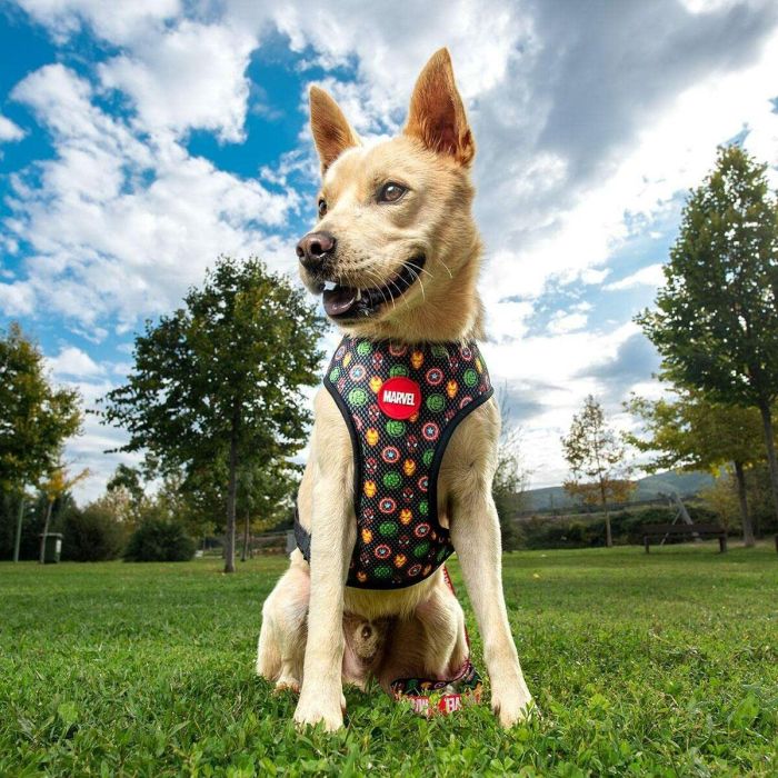 Cerdá Arnés para Perros Marvel Oficial, Talla XXS/XS, Diseño Comics Rojo para Mascotas Pequeñas 5 Cerdá Arnés para Perros Marvel Oficial, Talla XXS/XS, Diseño Comics Rojo para Mascotas Pequeñas 5