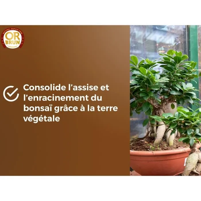 Or Brun OBRTBON6U Tierra para Bonsáis 6L - Mejor enraizamiento 5