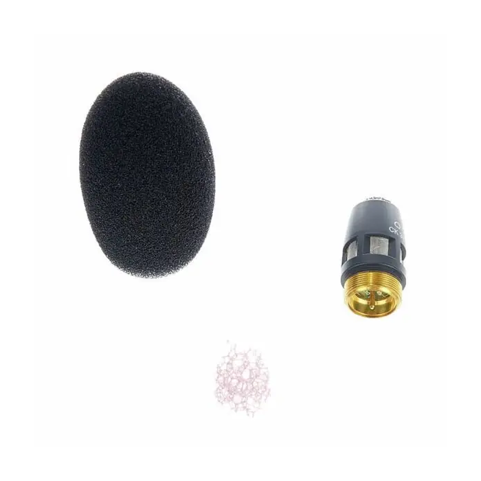 AKG CK31 Cápsula Condensador Micrófono Patrón Polar Cardioide 2