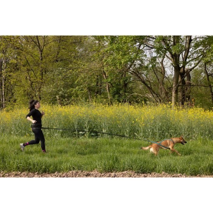 Correa de tracción para perros - CLASSICA - XL - 2,4 m - Perros hasta 25 kg 4 Correa de tracción para perros - CLASSICA - XL - 2,4 m - Perros hasta 25 kg 4