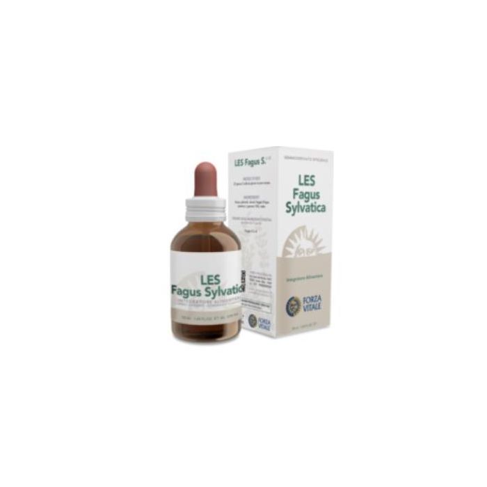 Les Fagus Sylvatica Haya 50Ml. Les Fagus Sylvatica Haya 50Ml.