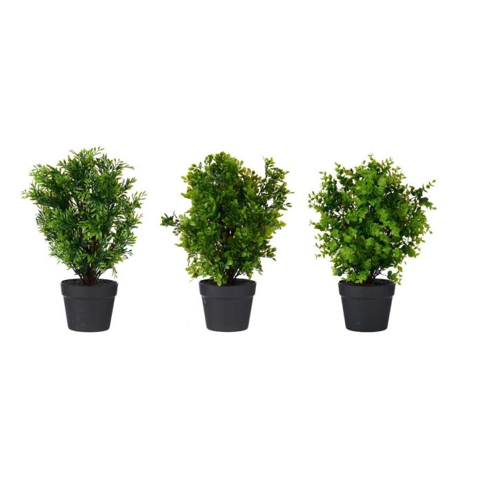 Maceta Plastico Negra Grande Plantas Verdes Surtidos Ibergarden 25X50CM (3 Unidades) 1 Maceta Plastico Negra Grande Plantas Verdes Surtidos Ibergarden 25X50CM (3 Unidades) 1