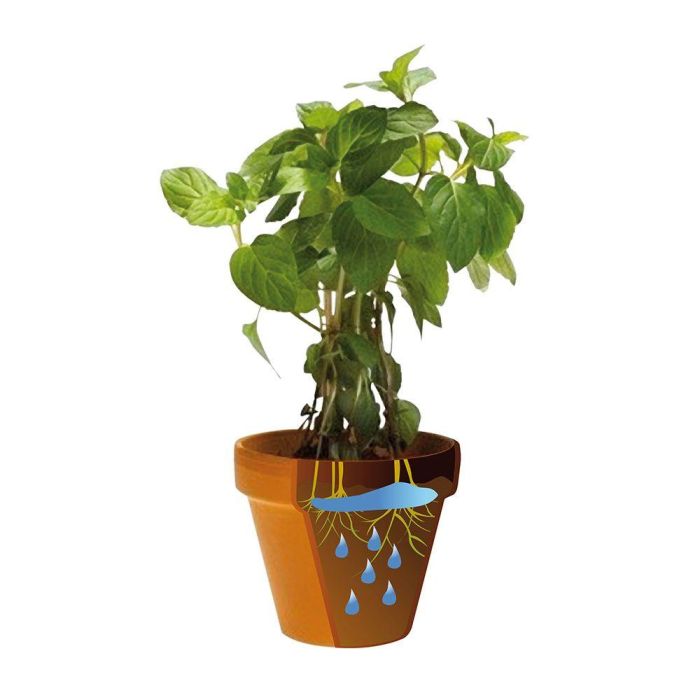 Blue Bird-Altadex Biogel Ecológico para Riego 400 ml 1