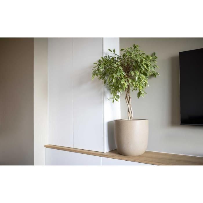 Maceta de bolas - CAPI EUROPE - WASTE SMOOTH NL - 35 x 34 cm - Terrazo beige 1 Maceta de bolas - CAPI EUROPE - WASTE SMOOTH NL - 35 x 34 cm - Terrazo beige 1