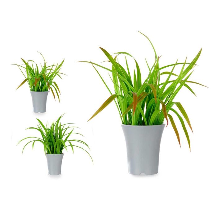 Maceta Alta Plantas Hojas Surtidos Ibergarden 14X47CM (6 Unidades) Maceta Alta Plantas Hojas Surtidos Ibergarden 14X47CM (6 Unidades)
