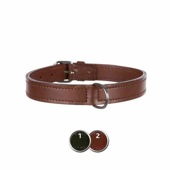 Collar para Perro Trixie Active Negro 36-43 cm 1