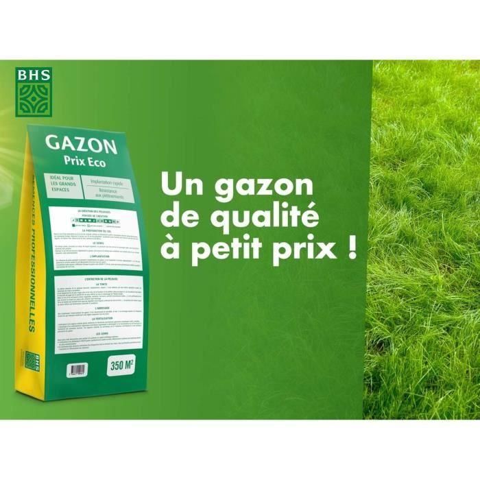 Césped - BHS - 1er premio Eco - 10 kg 2 Césped - BHS - 1er premio Eco - 10 kg 2