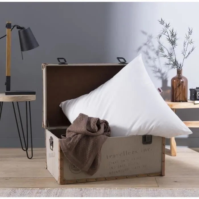 Dodo Almohada Grand luxe Quallofil Allerban 60x60 cm Blanco Algodón Lujo Tratamiento Antiácaros Fabricación Francesa Dodo Almohada Grand luxe Quallofil Allerban 60x60 cm Blanco Algodón Lujo Tratamiento Antiácaros Fabricación Francesa