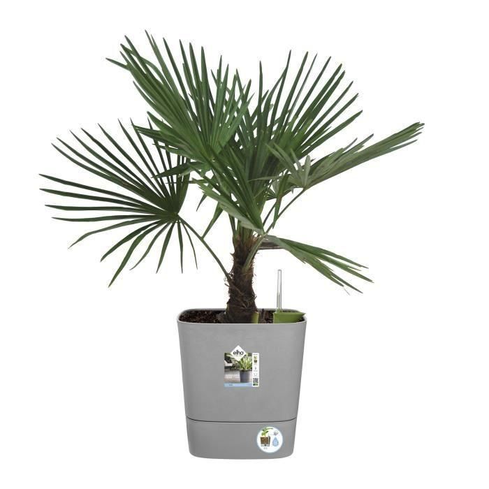 ELHO - Maceta - Greensense Aqua Care Square 38 - Cemento claro - Interior/exterior - Ø 38 x H 38,9 cm 2 ELHO - Maceta - Greensense Aqua Care Square 38 - Cemento claro - Interior/exterior - Ø 38 x H 38,9 cm 2
