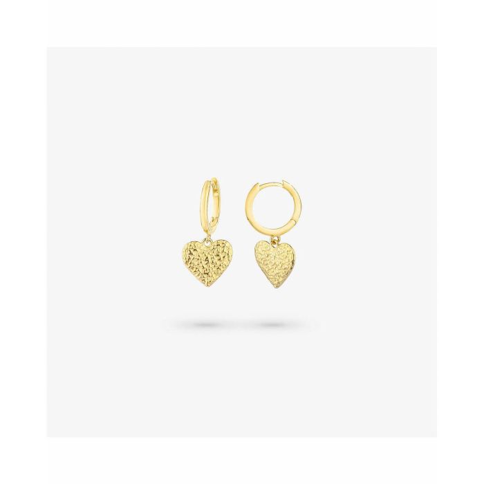 Pendientes Mujer Radiant RY000107 Acero Inoxidable 2 cm 1