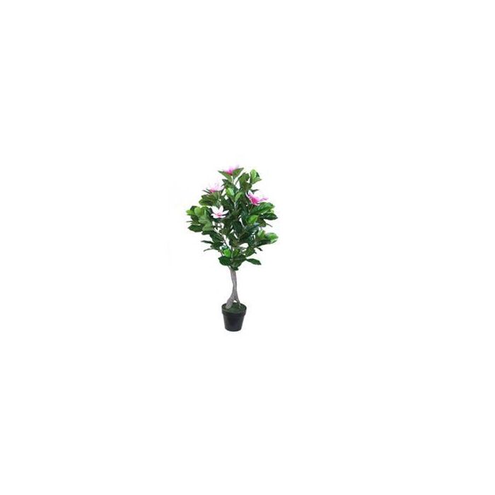 Planta DKD Home Decor Verde Rosa 60 x 125 x 60 cm