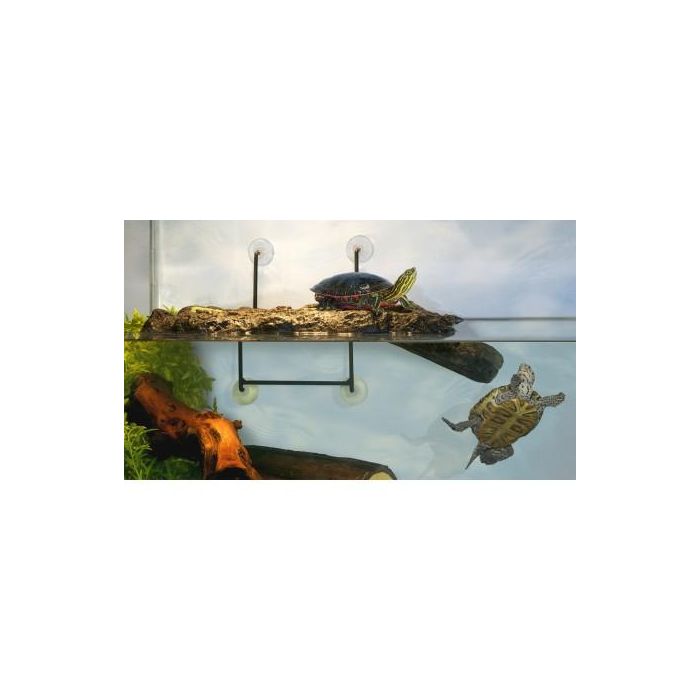 Nayeco Isla Turtle Dock Pequeña 3