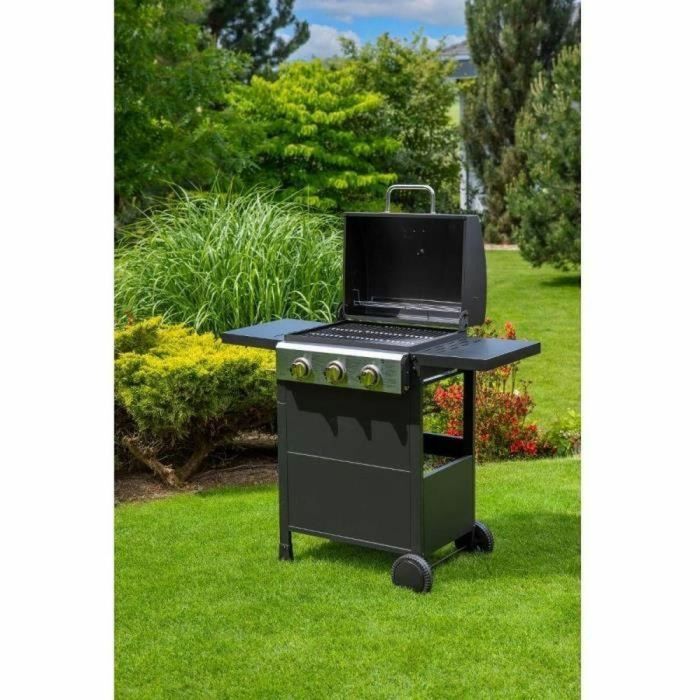 Fieldmann FZG 3003 Parrilla 1