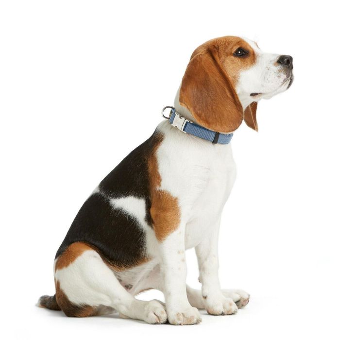 Collar para Perro Hunter VARIO BASIC Azul L 40-55 cm 1 Collar para Perro Hunter VARIO BASIC Azul L 40-55 cm 1